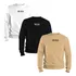 Kit 3 Blusa Moletom Careca Lançamento  Várias Cores