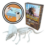 Kit De Arqueologista Fóssil De Dinossauros Rex Completo 
