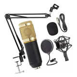 Kit Microfone Bm800 Condensador Unidirecional Studio Suporte