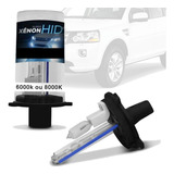 Kit Xenon Baixo H7