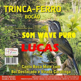 lalola (novela)-lalola novela Trinca Ferro Bocao Wave Puro P Adestramento De Filhotes