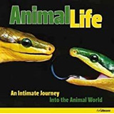 Livro Animal Life
