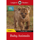 Livro Fisico - Baby Animals. Bbc Earth
