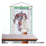 Mapa Musculo Exercicio Academia