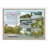 Mcn Nicarágua 2012 Fauna E Flora Bloco Novo Mint