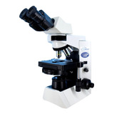 Microscopio Olympus Cx41rf 5
