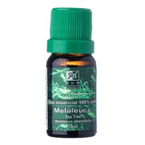 Óleo Essencial De Melaleuca 100% Natural (10ml) - Sucesso