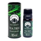 Oleo Essencial Tea Tree