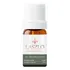 Óleo Essencial Tea Tree Melaleuca Gt Brasil 10,1ml Laszlo
