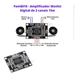 Pam8610 Placa Mini Amplificador Mosfet Digital De 2 X 15 W