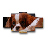 Petshop Decoração Cachorro Dog Kit 5 Peças - Pronta Entrega
