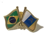 Pin Da Bandeira Do