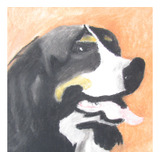 Pinturade Um Bernece Mountain Dog ,boideiro De Berna