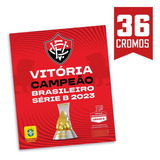 Poster Campeao Brasileirao Serie