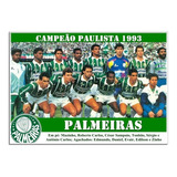 Poster Do Palmeiras 