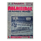 Poster Do Palmeiras