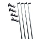 Raio Inox 2 0x280mm