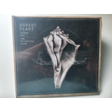 robert plant-robert plant Cd Robert Plant Lullaby And The Ceaseless Roar