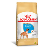 Royal Canin Boxer Para Cães Filhotes 12 Kg Pet