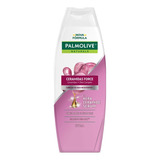 Shampoo Ceramidas Force 350ml