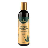 Shampoo Natural Fortalecedor Livealoe Cabelos Normais E Oleosos Com Aloe Vera , Açafrao Moringa E Castanha Do Brasil 