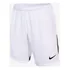 Shorts Nike Dri-fit Classic Masculino