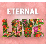 top love-top love Cd Digipack Eternal Love Sucessos Romanticos Eternos