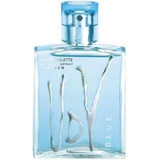 Udv Blue Masc. - Edt 100ml Beleza Na Web