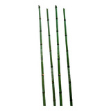 Varal De Bambu Mossô Tronco Natural 2 Peças De 4m