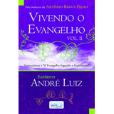 Vivendo O Evangelho Vol. Ii, De Baduy Filho, Antônio/ André Luiz ( Espírito). Editora Instituto De Difusão Espírita, Capa Mole Em Português, 2010